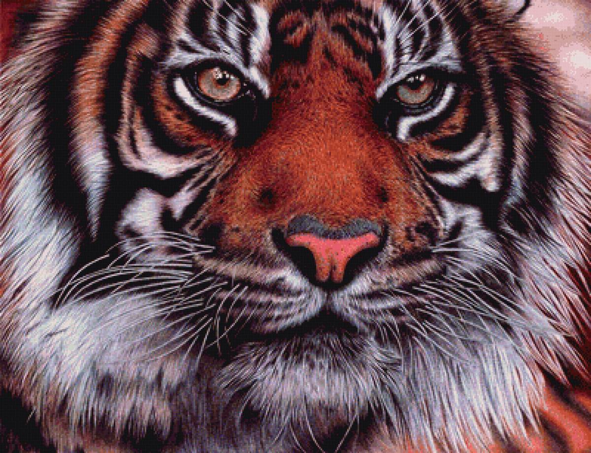 дикие - предпросмотр