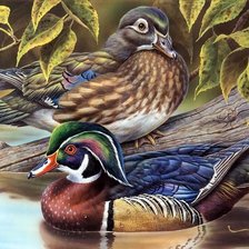 Схема вышивки «птицы»