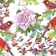 Схема вышивки «птицы»