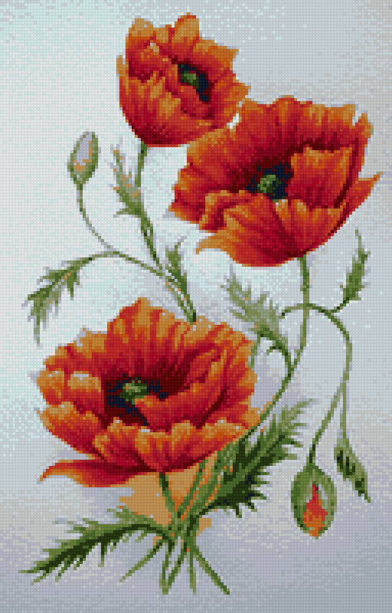 маки - предпросмотр