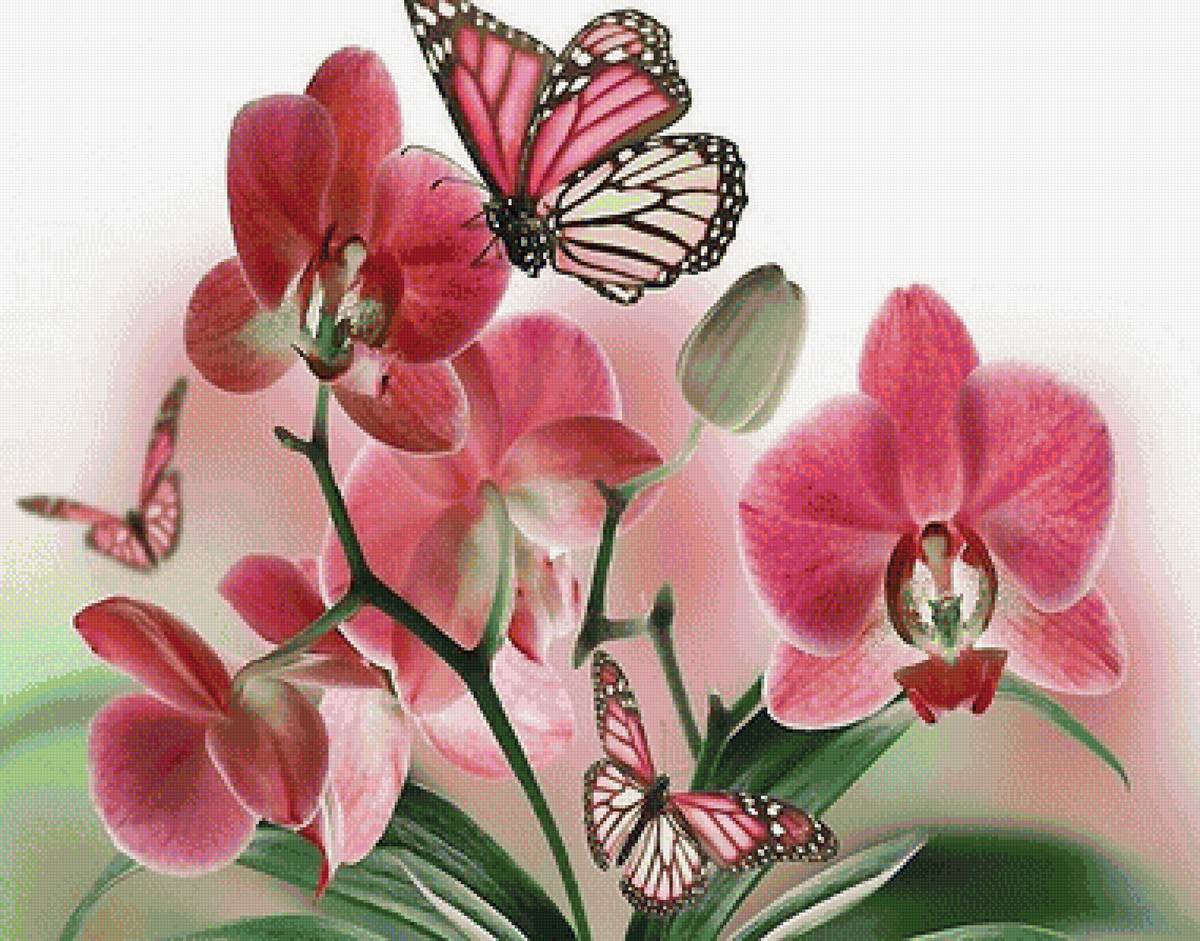 №1825231 - предпросмотр