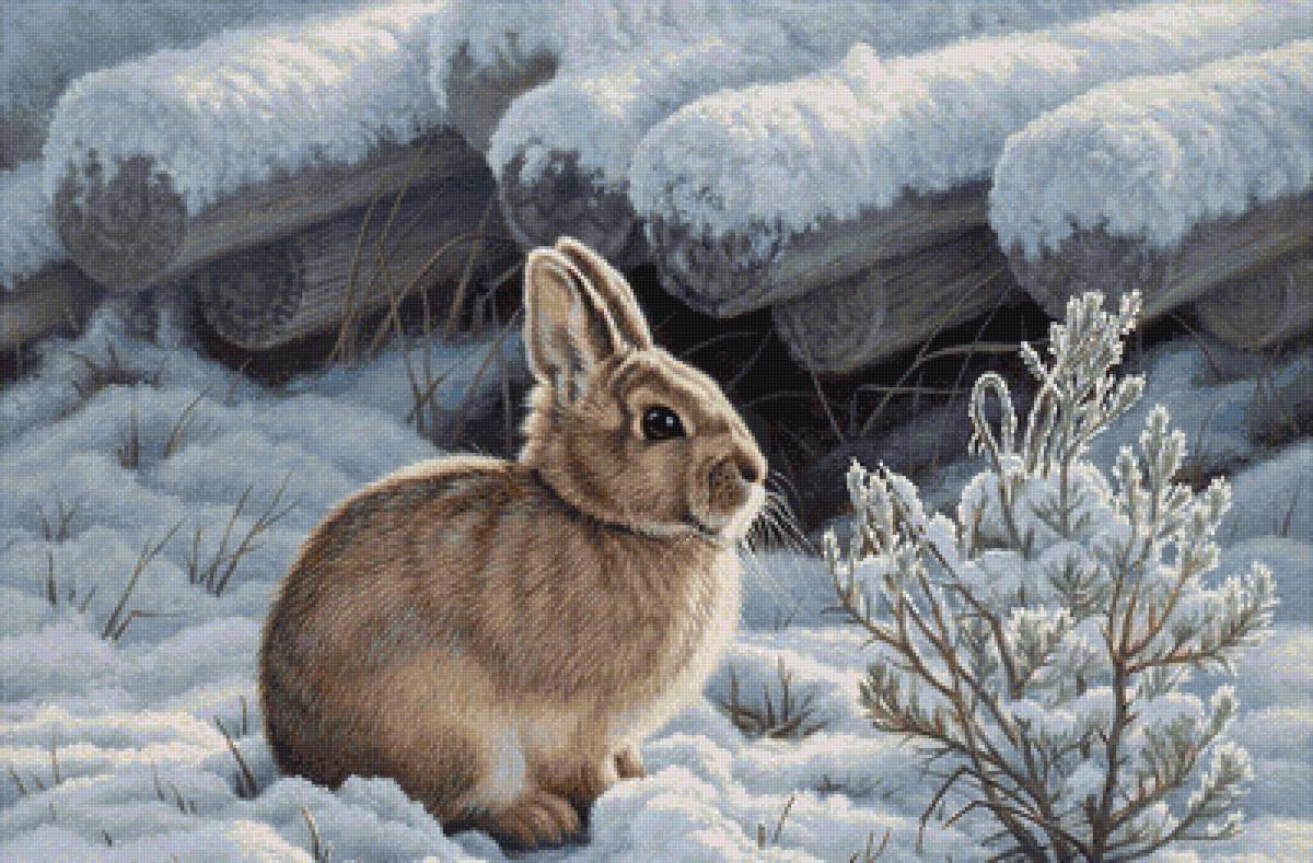 дикие - предпросмотр