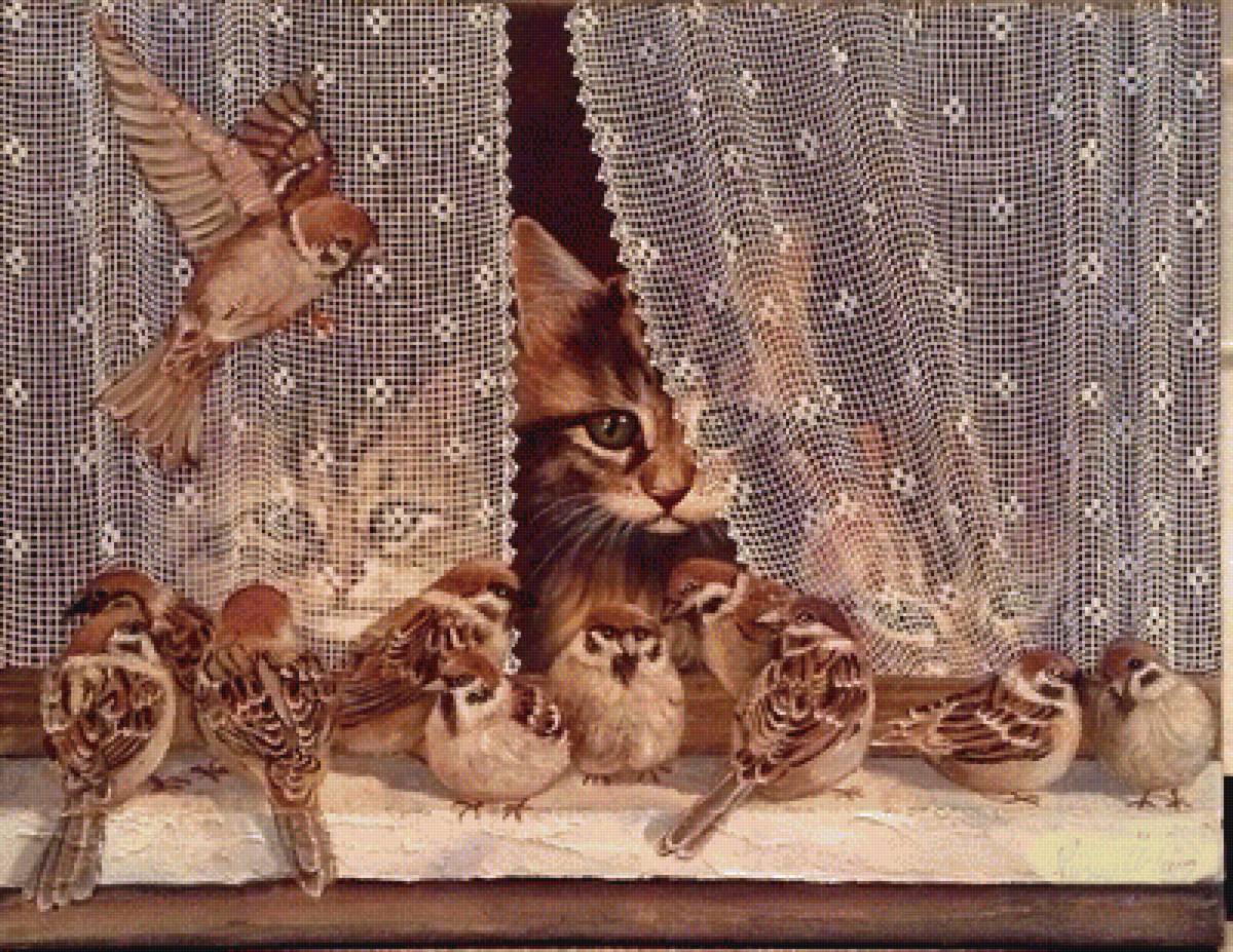 Наблюдатели - кошки, воробьи, окно - предпросмотр