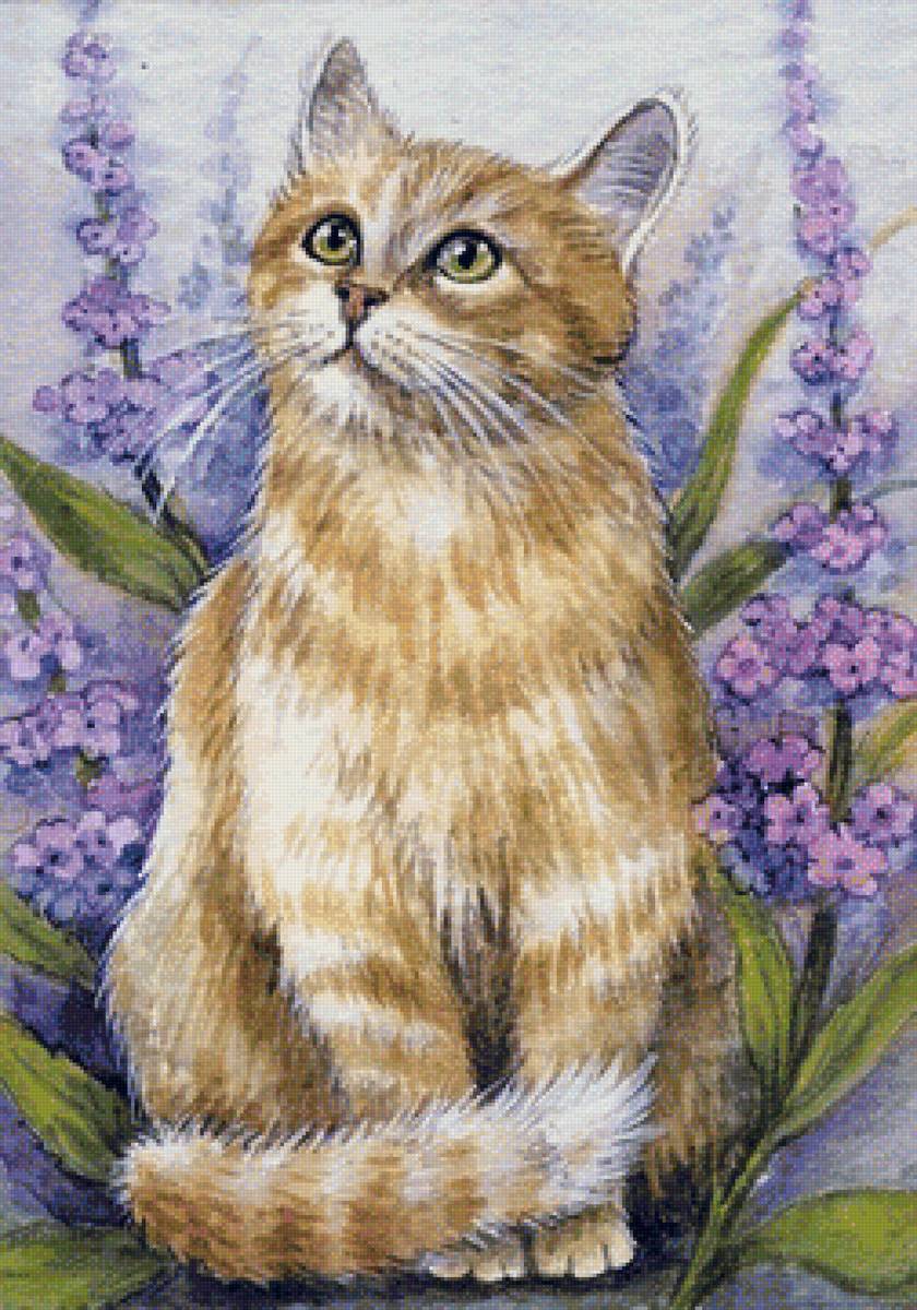 Цветные картинки кошек. Акварельные коты/американская художница Elena Mezhibovsky. Рисунки котов. Кошечка рисунок. Кошка рисунок цветной.