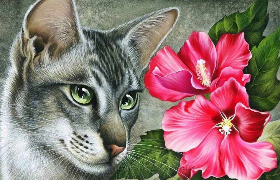 котик - оригинал