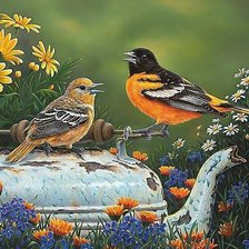 Схема вышивки «птицы»