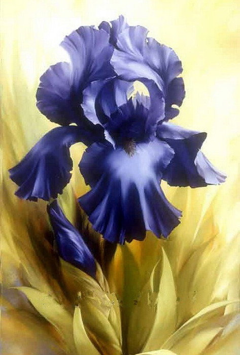 Ирис - оригинал