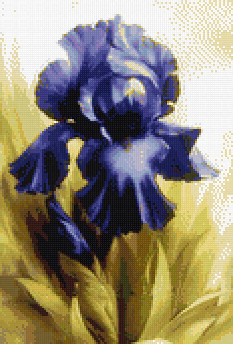 Ирис - предпросмотр