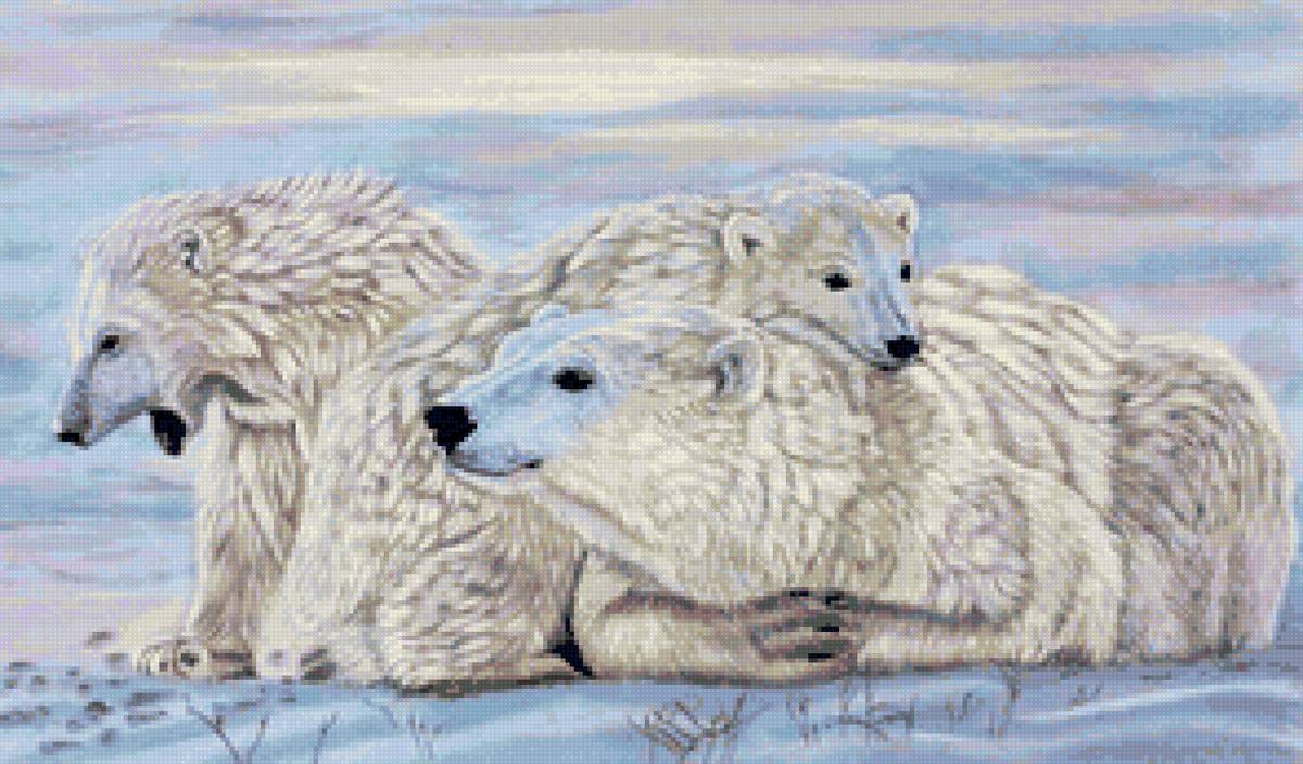 Полярная тусовка - белые медведи, медведи, животные - предпросмотр