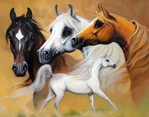 Лошади - лошади, животные - оригинал