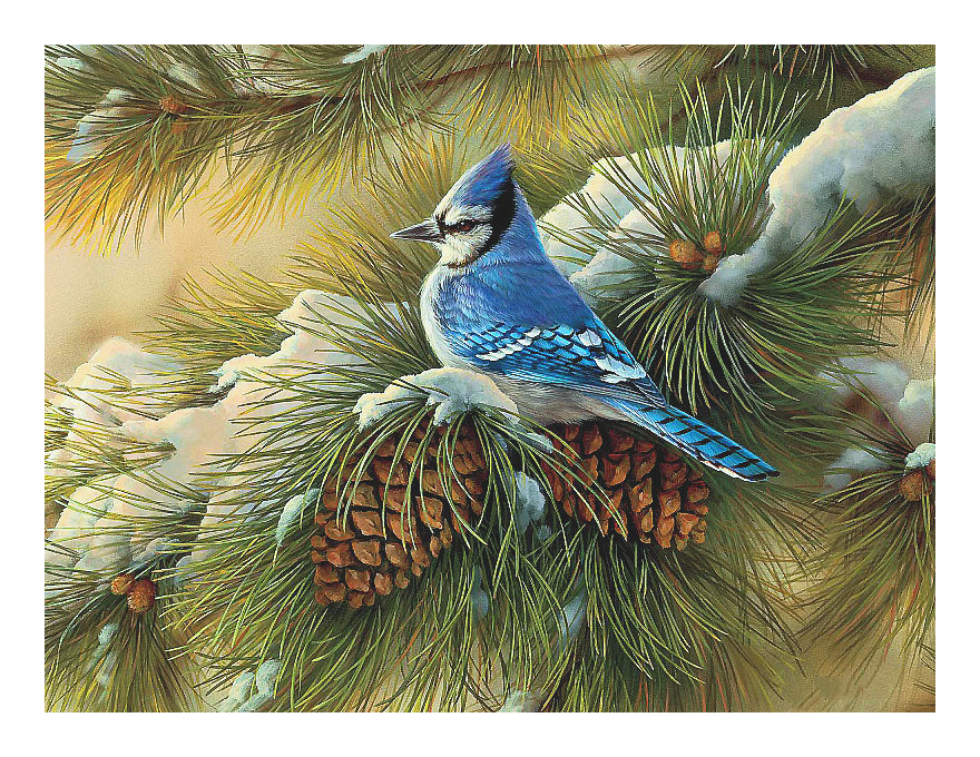 Серия "Птицы" - фауна, птицы - оригинал