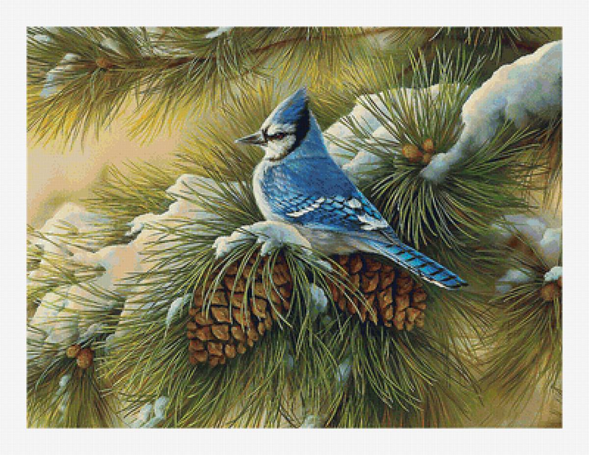 Серия "Птицы" - фауна, птицы - предпросмотр