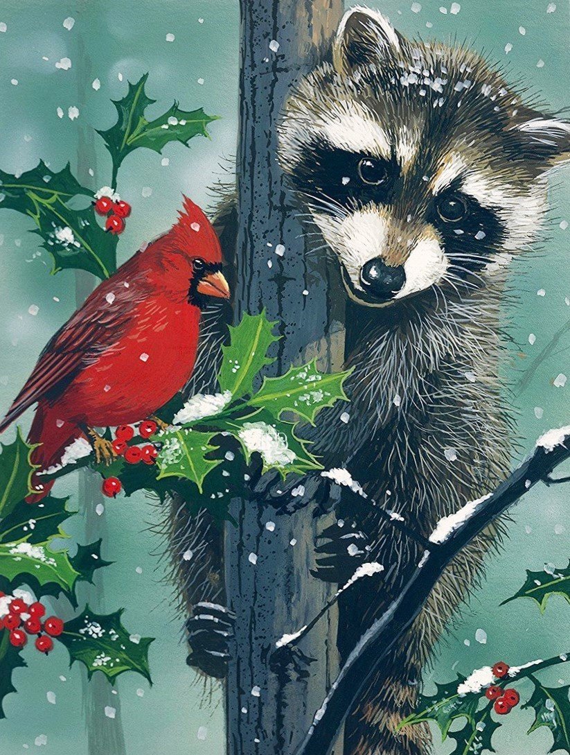 Енотик с птичкой - животные, птица, енот, природа - оригинал