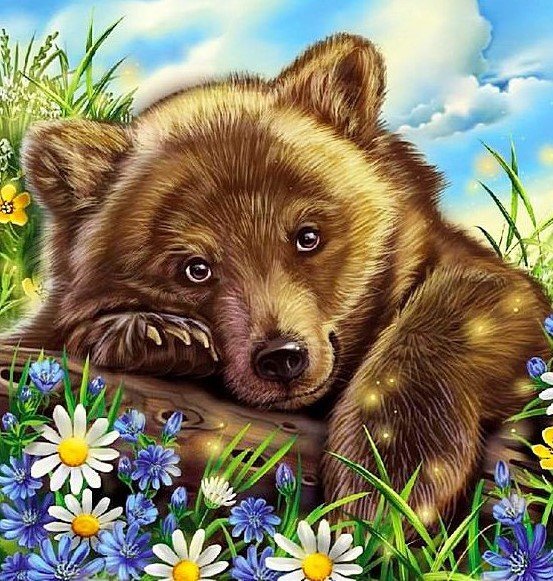 bear - bear - оригинал