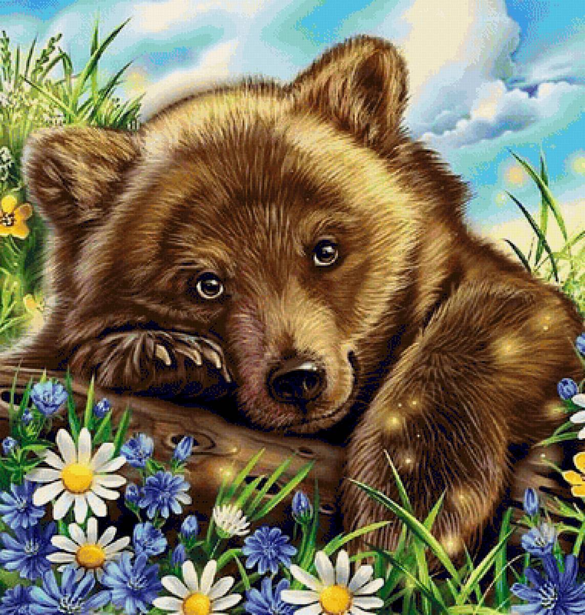 bear - bear - предпросмотр