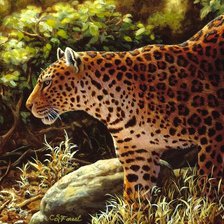 Оригинал схемы вышивки «leopard» (№1827305)