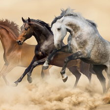 Схема вышивки «horses»