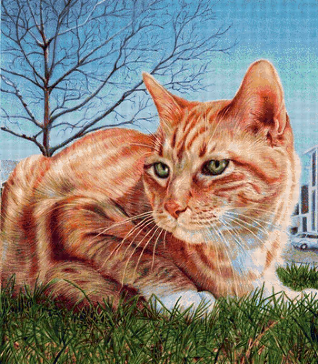 котик - предпросмотр