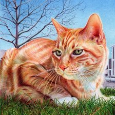 Схема вышивки «котик»