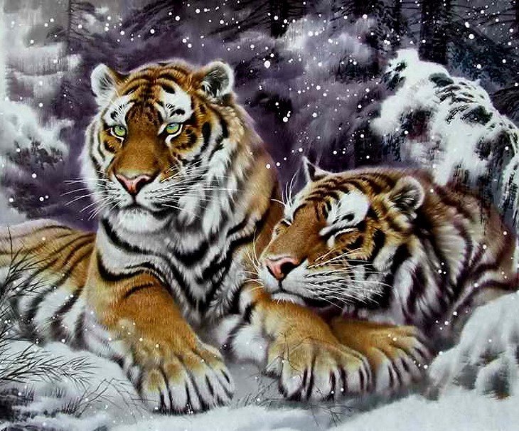 дикие - оригинал