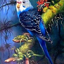 Схема вышивки «parakeet»