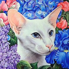 Схема вышивки «кот»