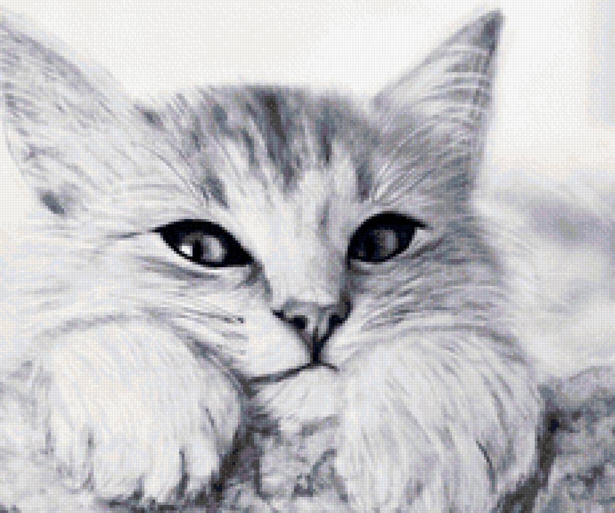 котик - коты, котята, кошечки - предпросмотр