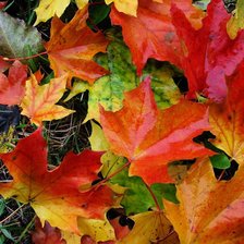 Схема вышивки «ОСЕНЬ»