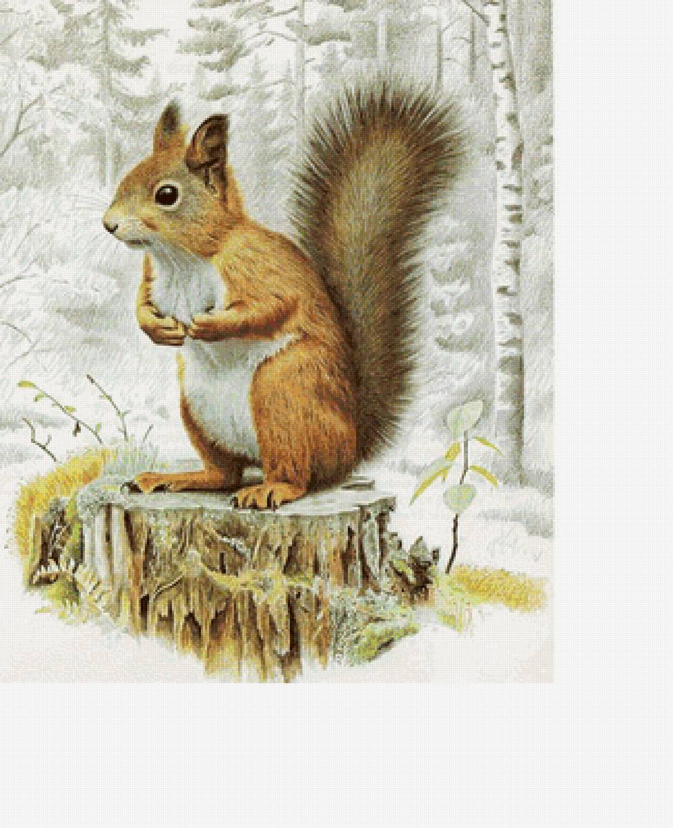 Белочка на пне - животные, звери, детская, зима - предпросмотр
