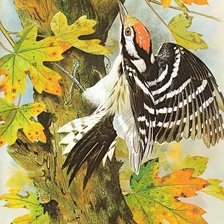 Схема вышивки «№1829108»