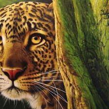 Схема вышивки «№1829223»