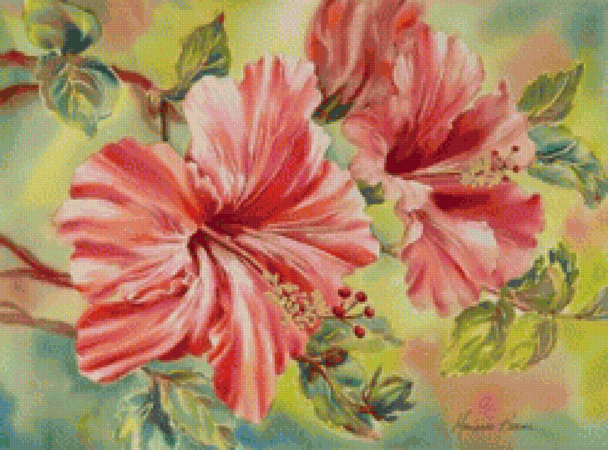 Гибискус - предпросмотр