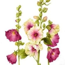 Схема вышивки «Цветы»