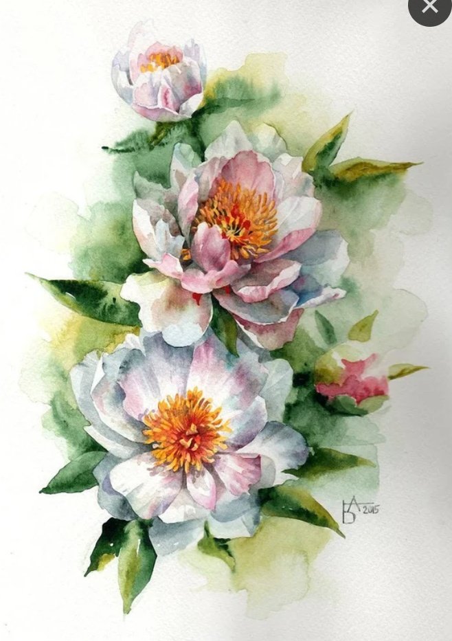 Магнолия - оригинал