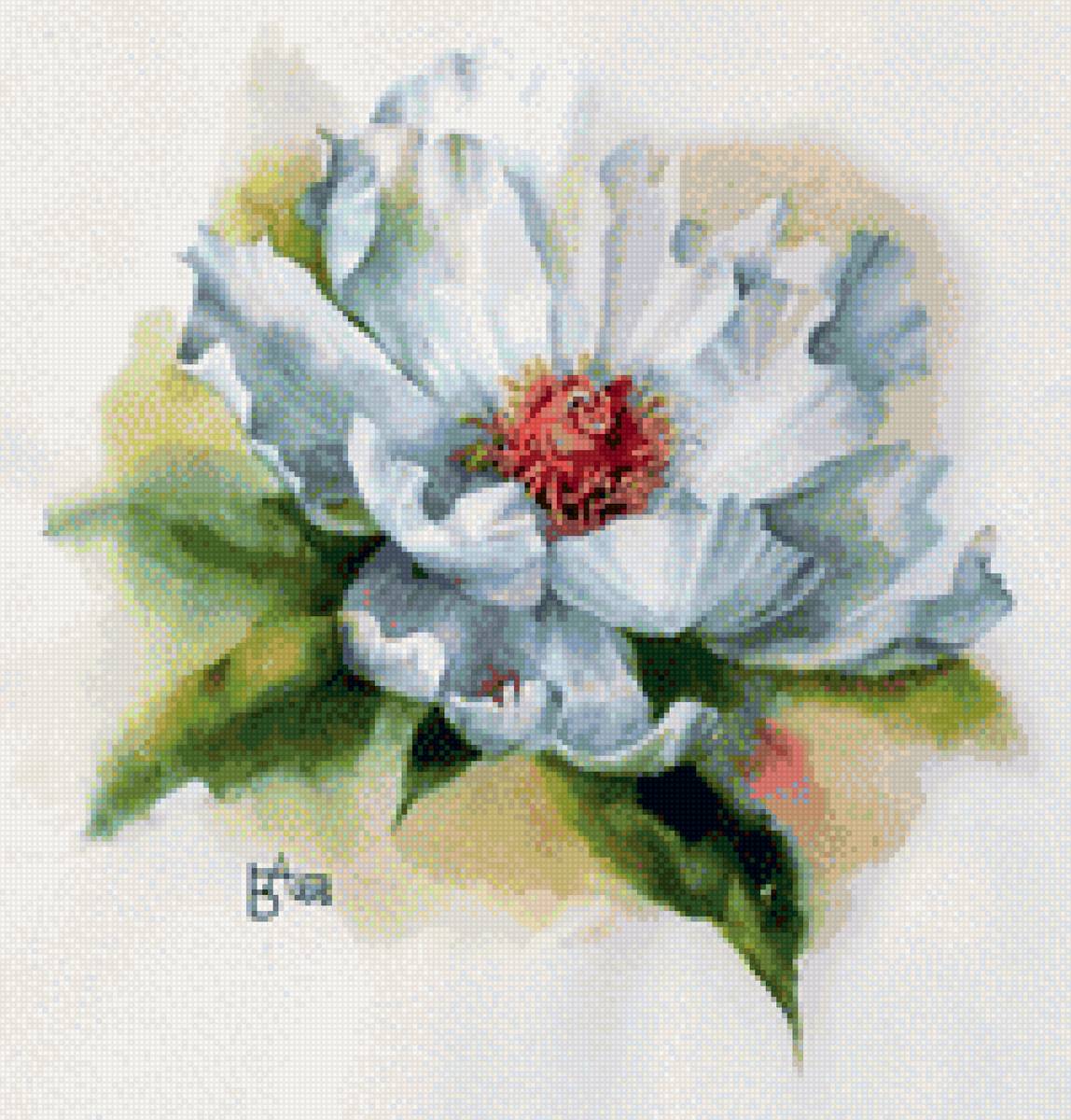 Магнолия 1 - предпросмотр