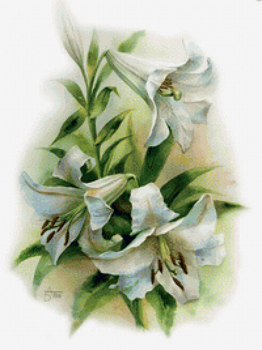 Лилия 1 - предпросмотр