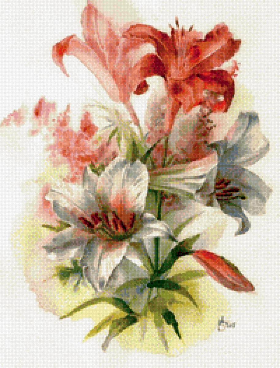 Лилия 2 - предпросмотр