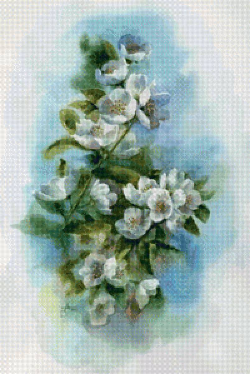 Жасмин - предпросмотр