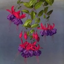 Схема вышивки «После дождя»