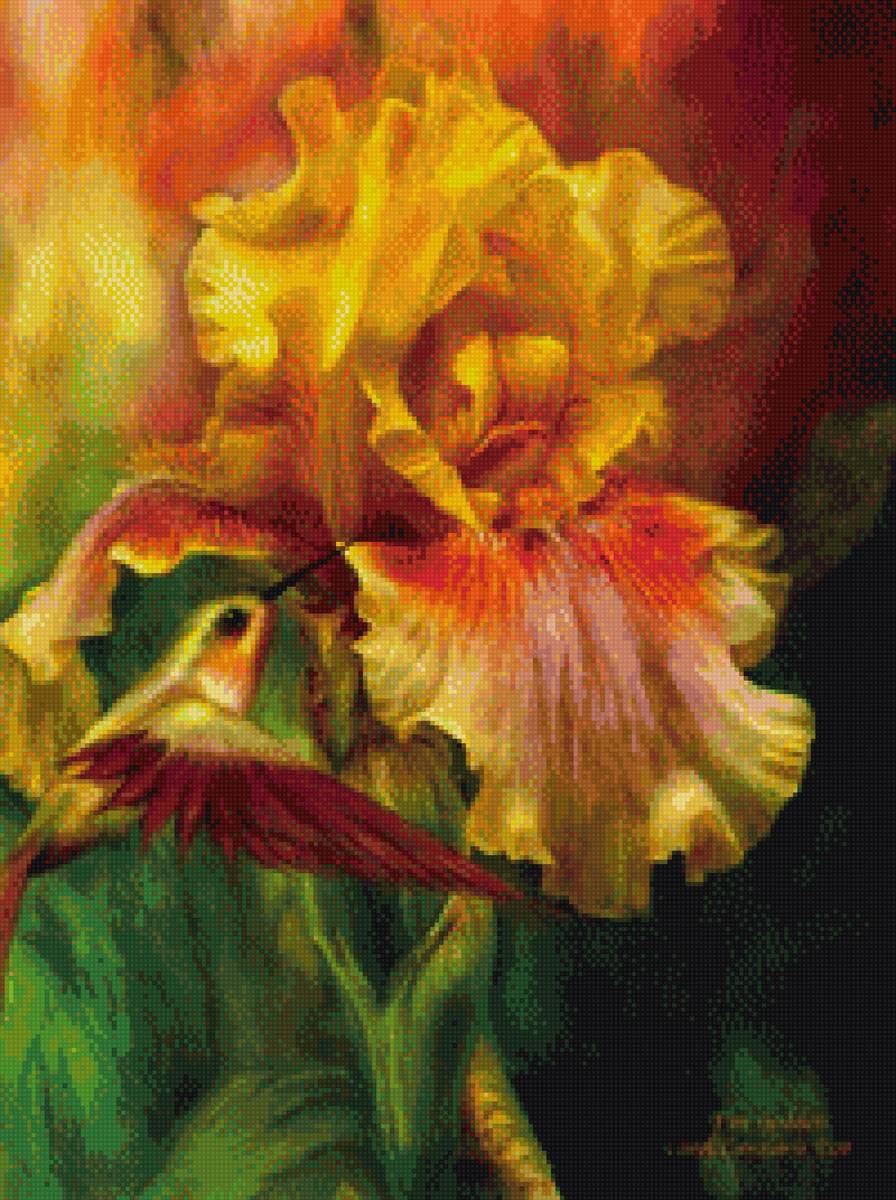 Колибри на цветке - колибри, цветок, птичка, ирис - предпросмотр