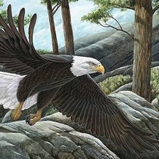 Схема вышивки «№1829842»