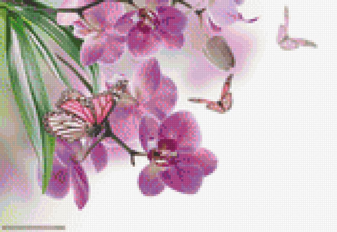 Розовый вечер - бабочки, сакура, цветы, весна. - предпросмотр