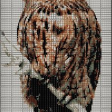 Схема вышивки «филин»