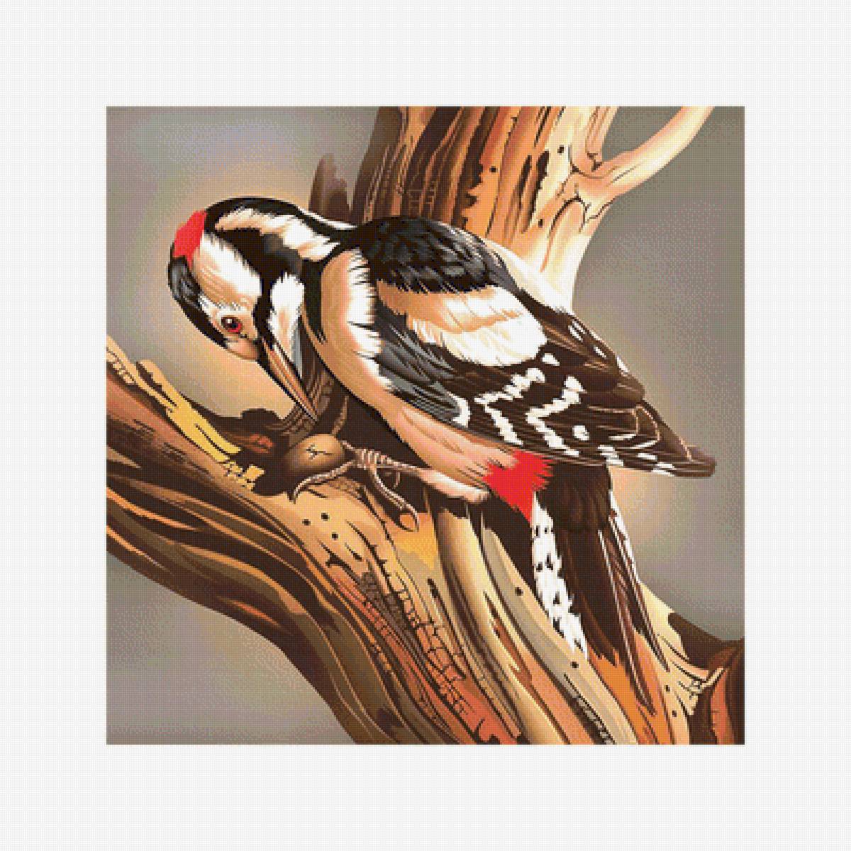 Серия "Птицы". Дятел - уменьшенная по просьбе - фауна, птицы, дятел - предпросмотр