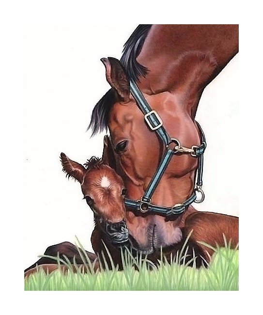 Детская - оригинал