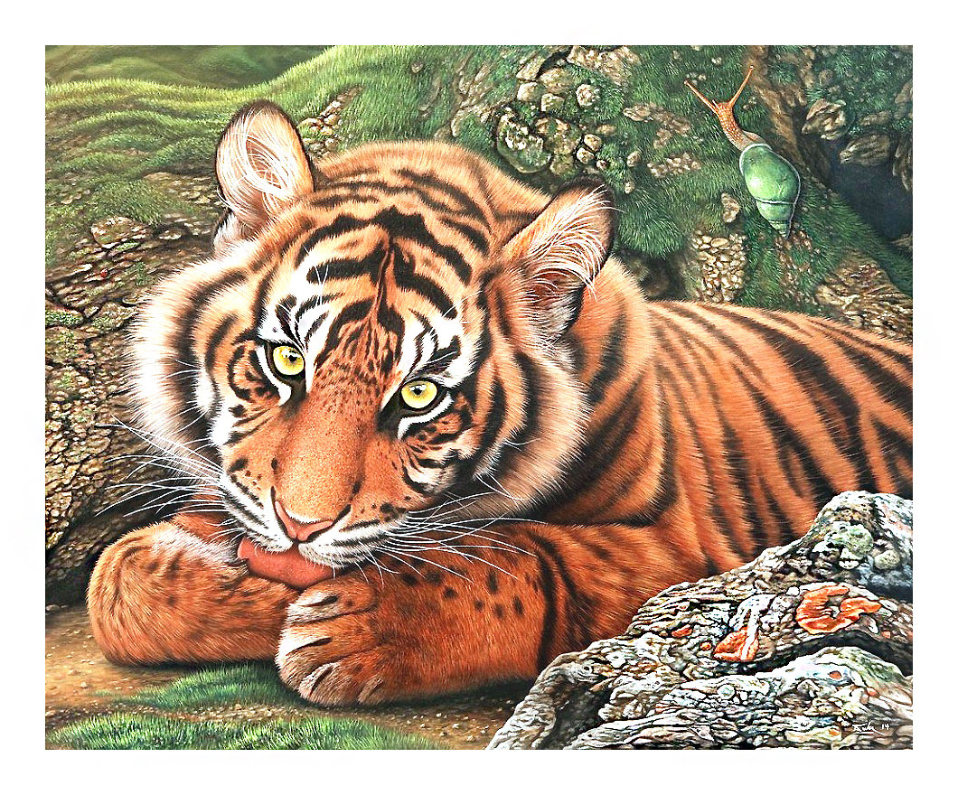 Серия "Хищники". Тигр - тигр, животные, хищники - оригинал