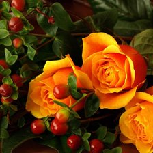 Схема вышивки «РОЗЫ»