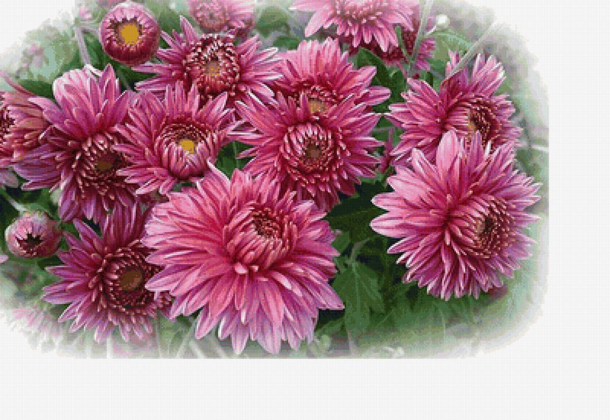 №1831127 - предпросмотр