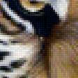 Предпросмотр схемы вышивки «tiger and fish» (№1831166)