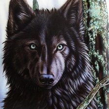 Схема вышивки «black wolf»